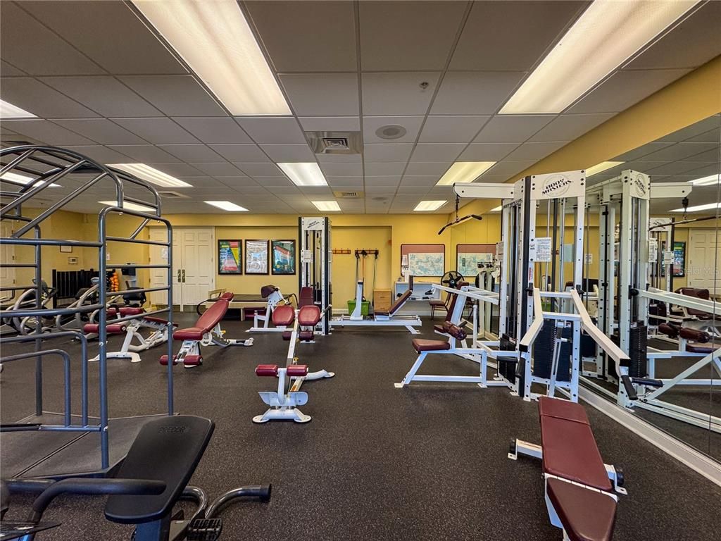 Fitness Equipment, Gym, Interior, Recessed Lighting