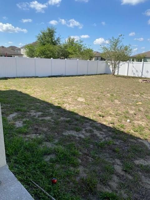 Backyard, Exterior