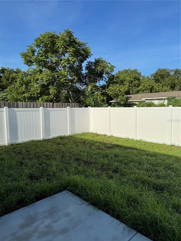 Backyard, Exterior