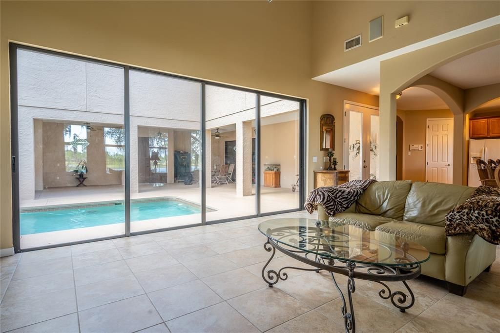 Interior, Living room, Pool