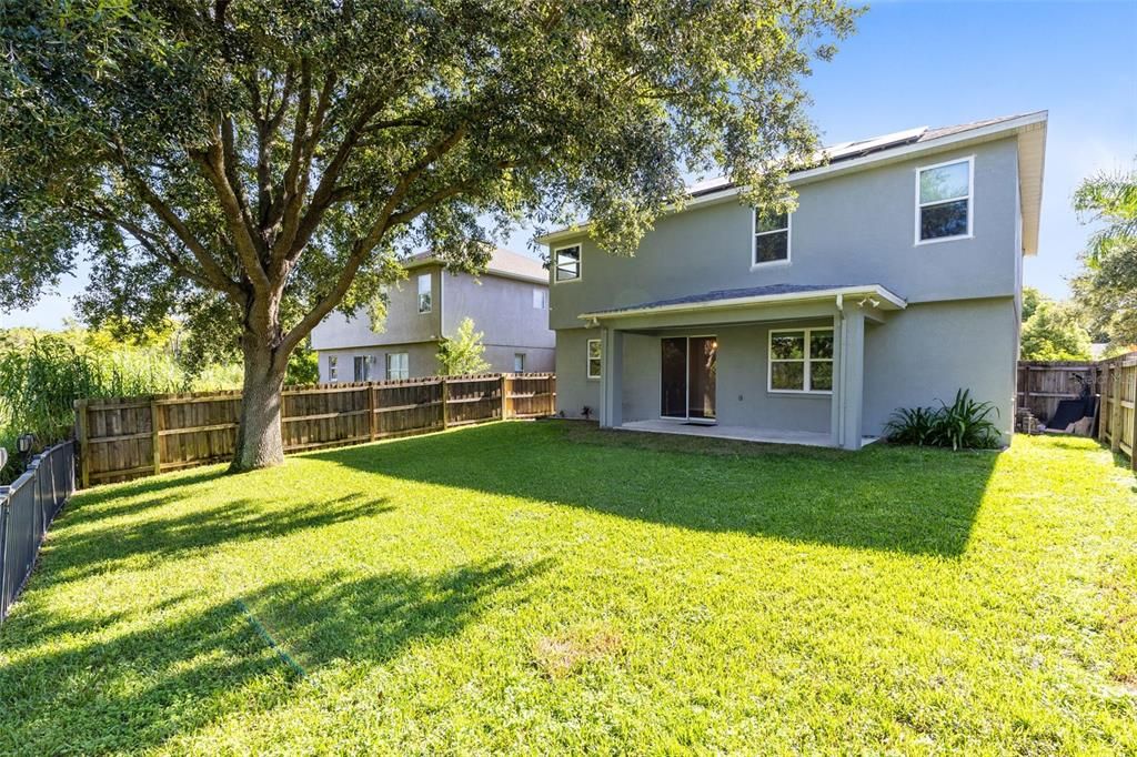 Backyard, Exterior