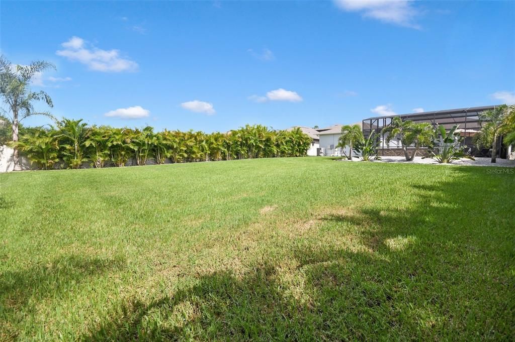 Backyard, Exterior