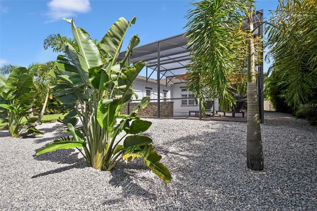 Backyard, Exterior