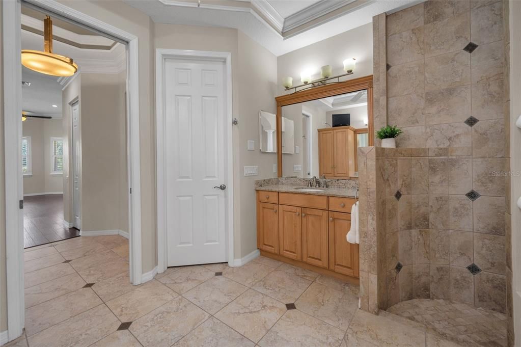 Bathroom, Interior, Recessed Lighting, Wood Texture Flooring