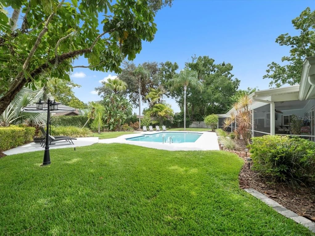 Backyard, Exterior, Pool