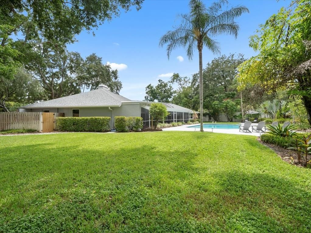 Backyard, Exterior, Pool