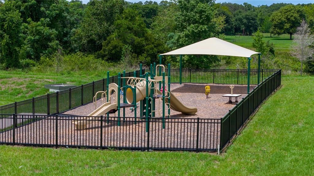 Backyard, Exterior, Playground