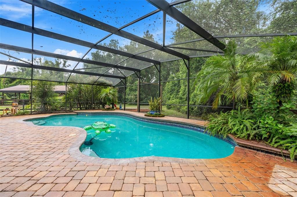 Glass Ceilings, Interior, Pool, Sun Room