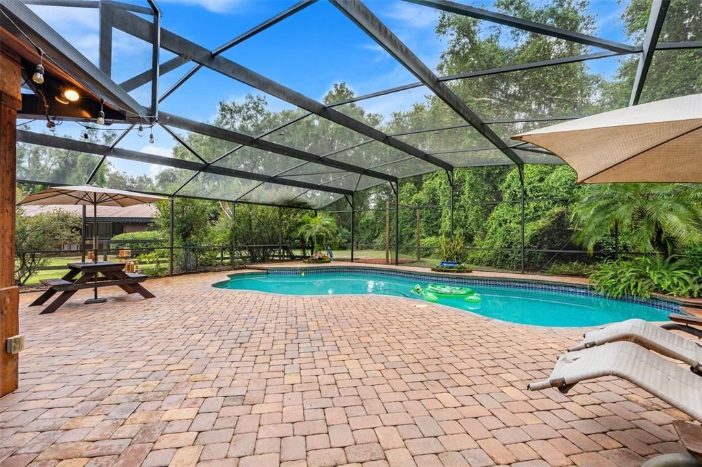Glass Ceilings, Interior, Pool, Sun Room