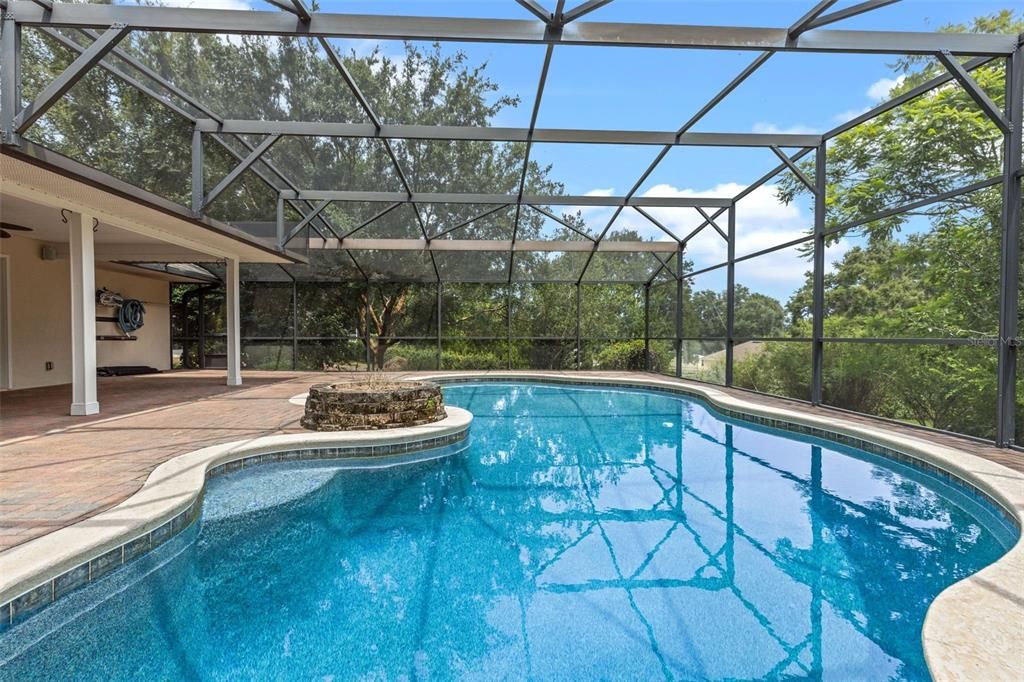 Glass Ceilings, Interior, Pool, Sun Room