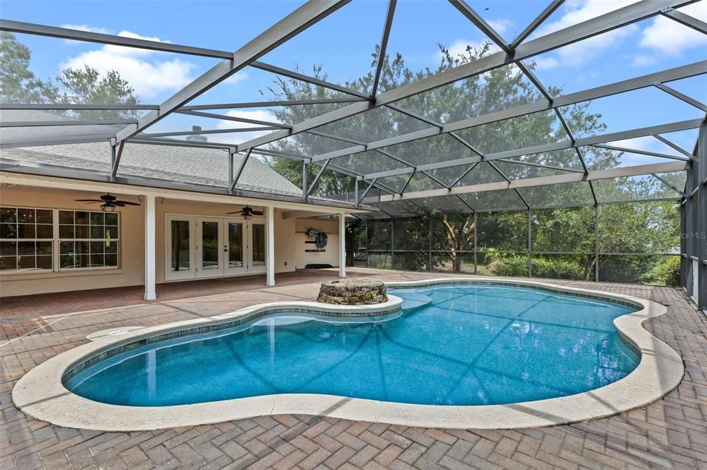 Glass Ceilings, Interior, Pool, Sun Room
