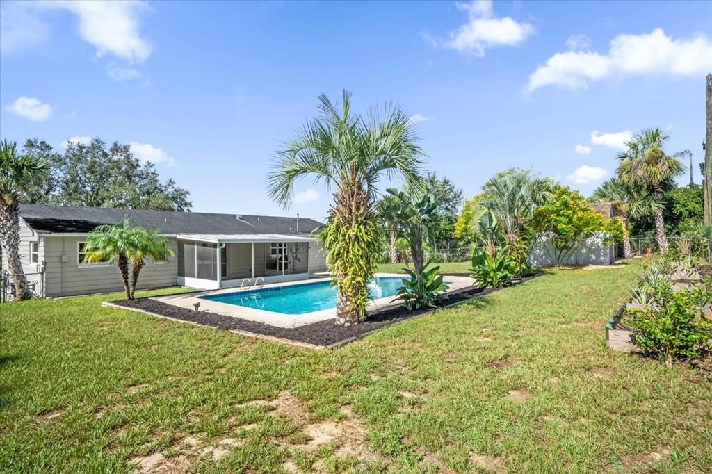 Backyard, Exterior, Pool