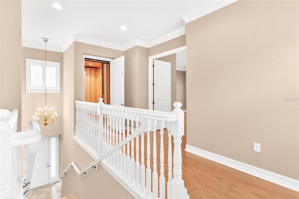 Chandelier, Interior, Recessed Lighting, Wood Texture Flooring