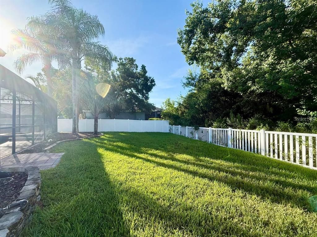 Backyard, Exterior