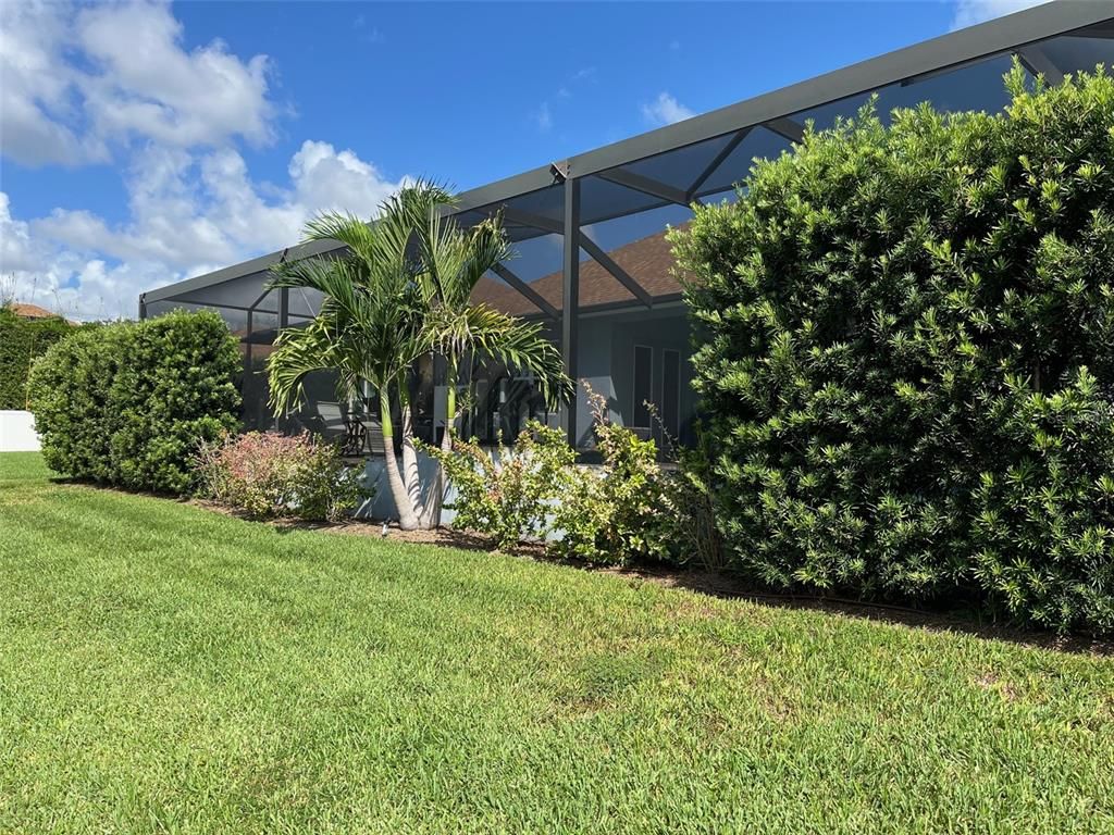 Backyard, Exterior