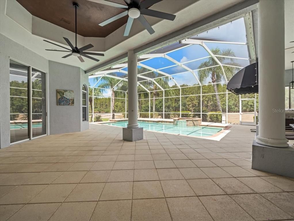 Glass Ceilings, Interior, Pool, Sun Room