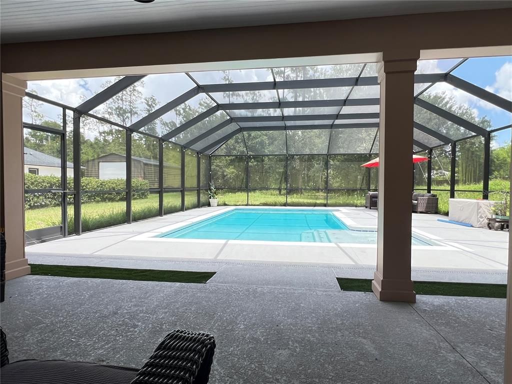 Glass Ceilings, Interior, Pool, Sun Room