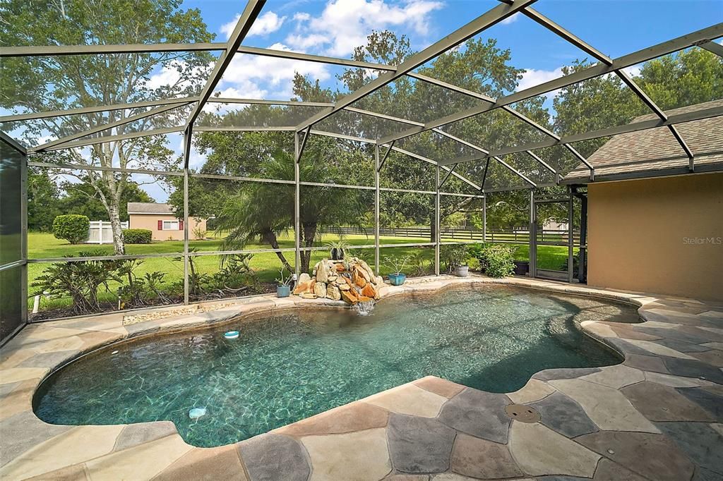 Glass Ceilings, Interior, Pool, Sun Room