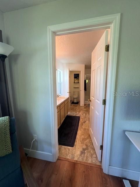 Bathroom, Interior, Wood Texture Flooring