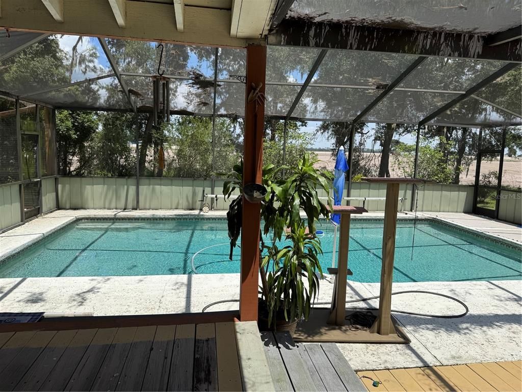Glass Ceilings, Interior, Pool, Sun Room
