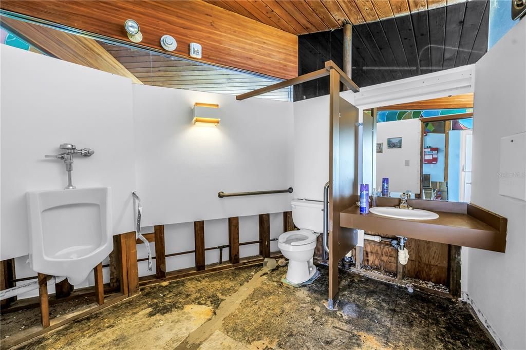 Bathroom, Interior, Wooden Ceilings