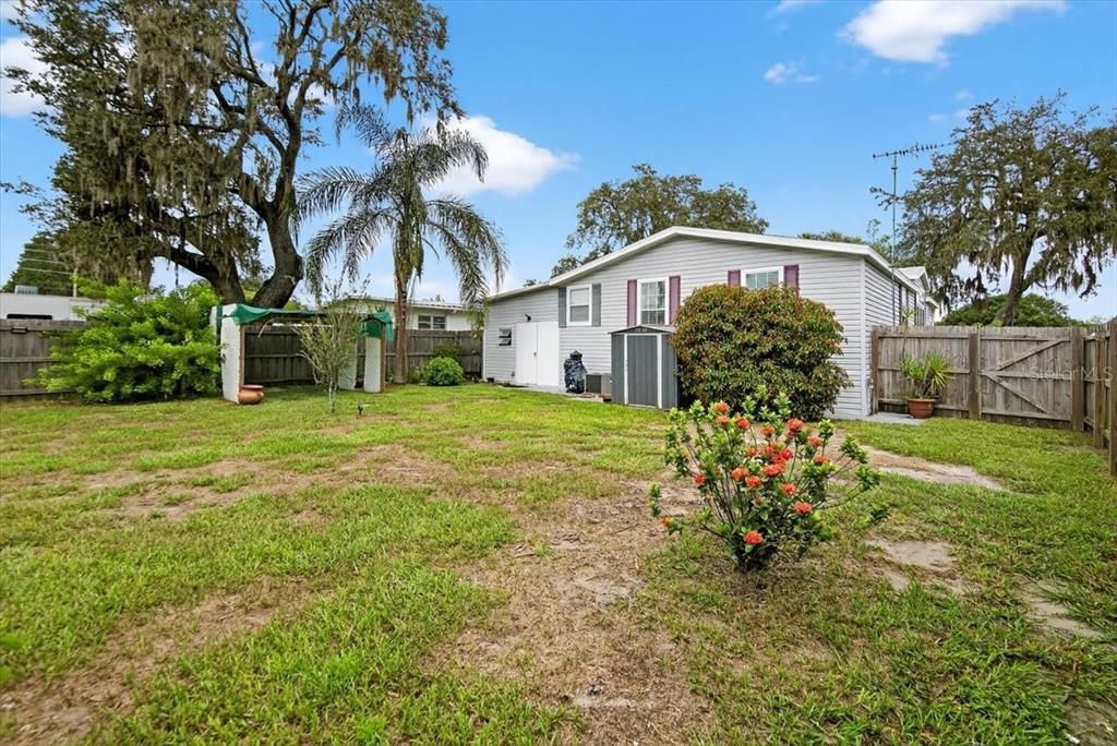 Backyard, Exterior