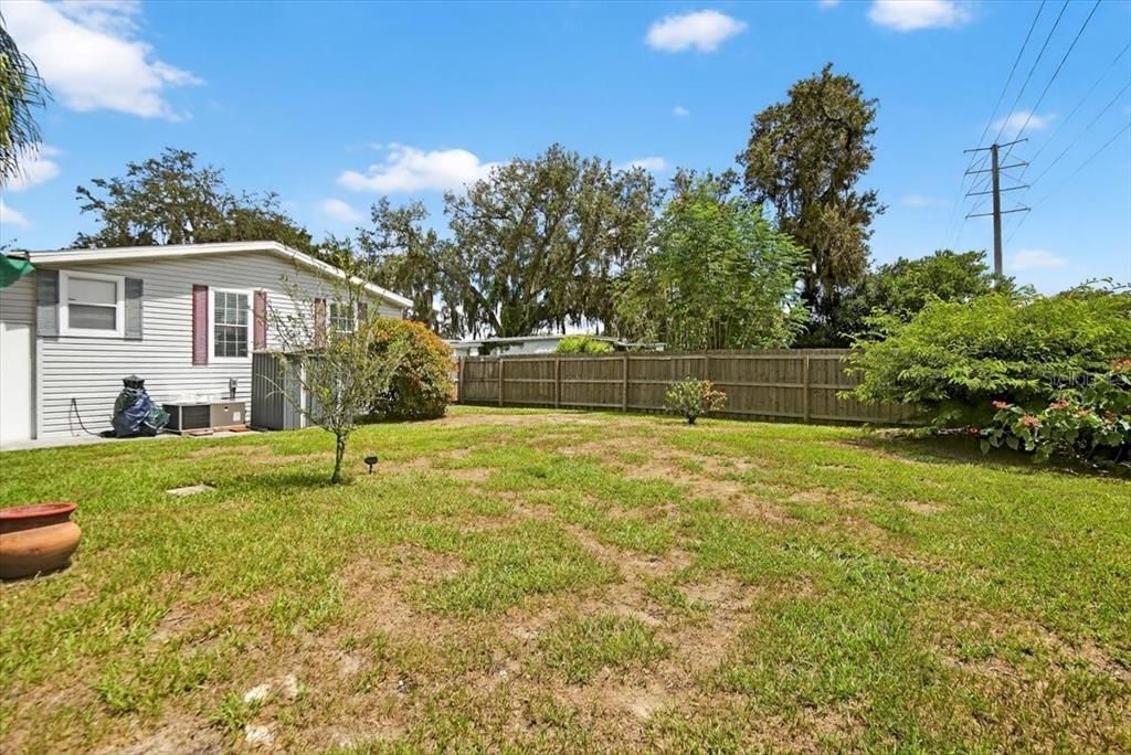 Backyard, Exterior