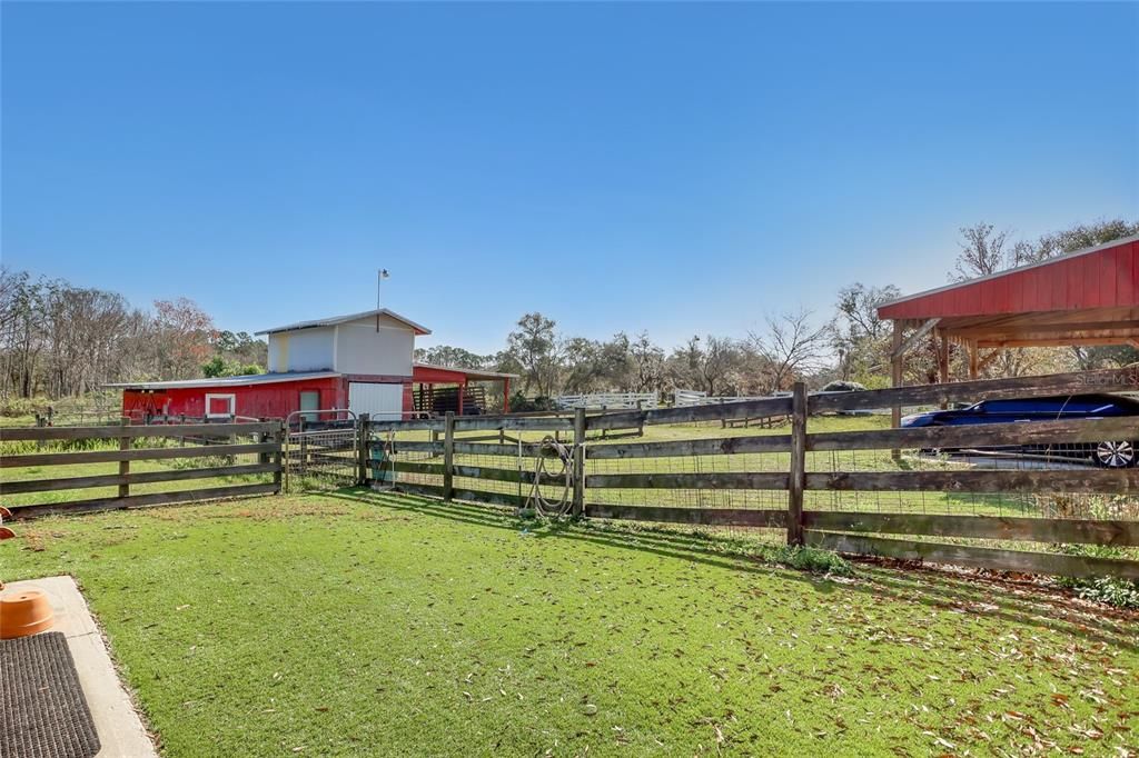 Backyard, Exterior