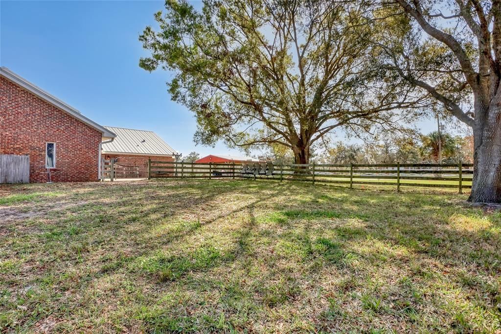 Backyard, Exterior