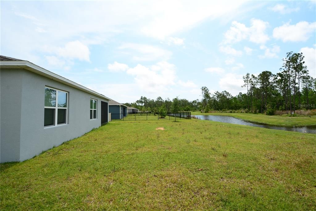 Backyard, Exterior, Water