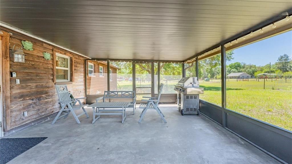 Interior, Sun Room, Wooden Walls