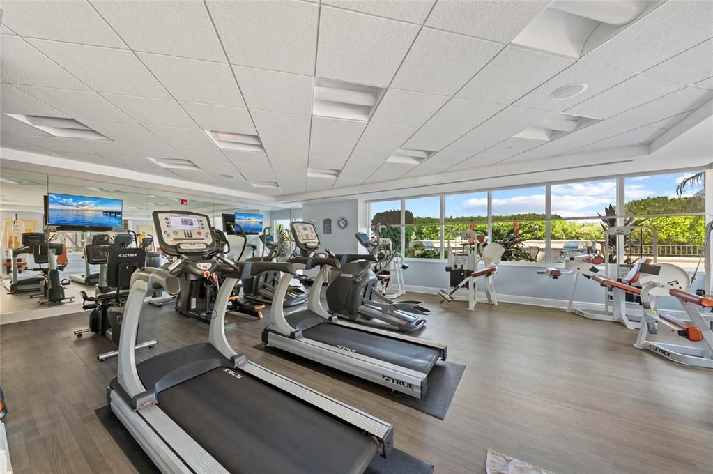 Fitness Equipment, Gym, Interior, Recessed Lighting, Wood Texture Flooring