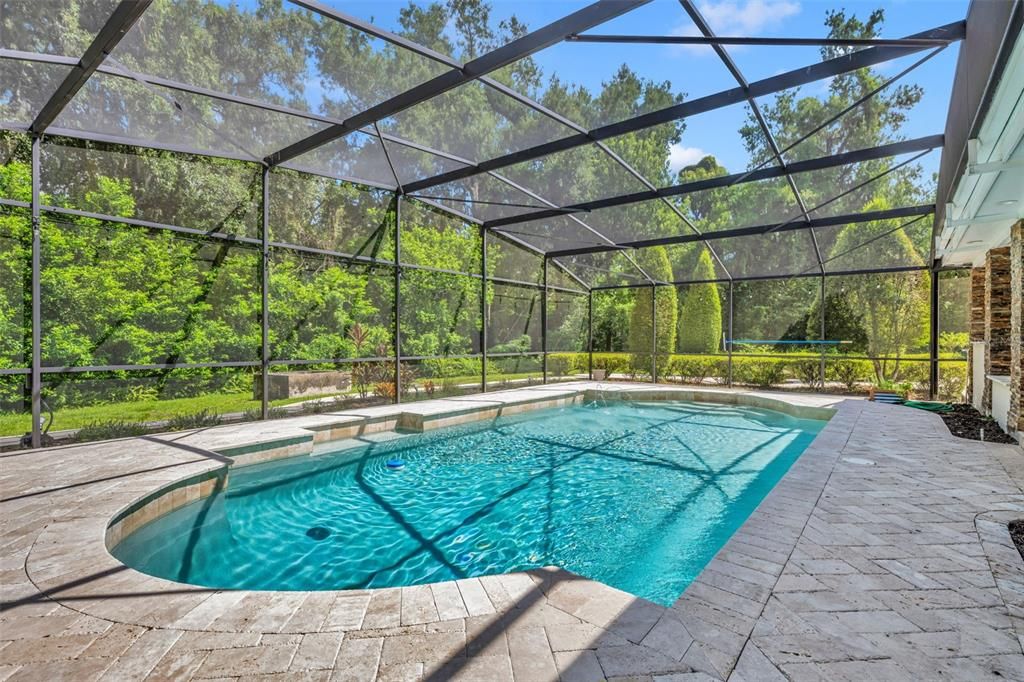 Glass Ceilings, Interior, Pool, Sun Room