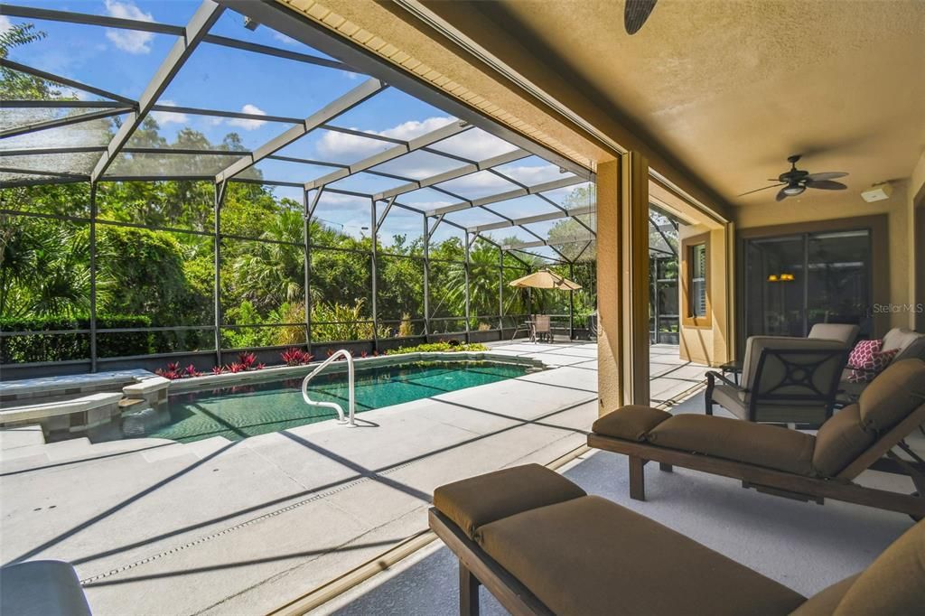 Glass Ceilings, Interior, Pool, Sun Room