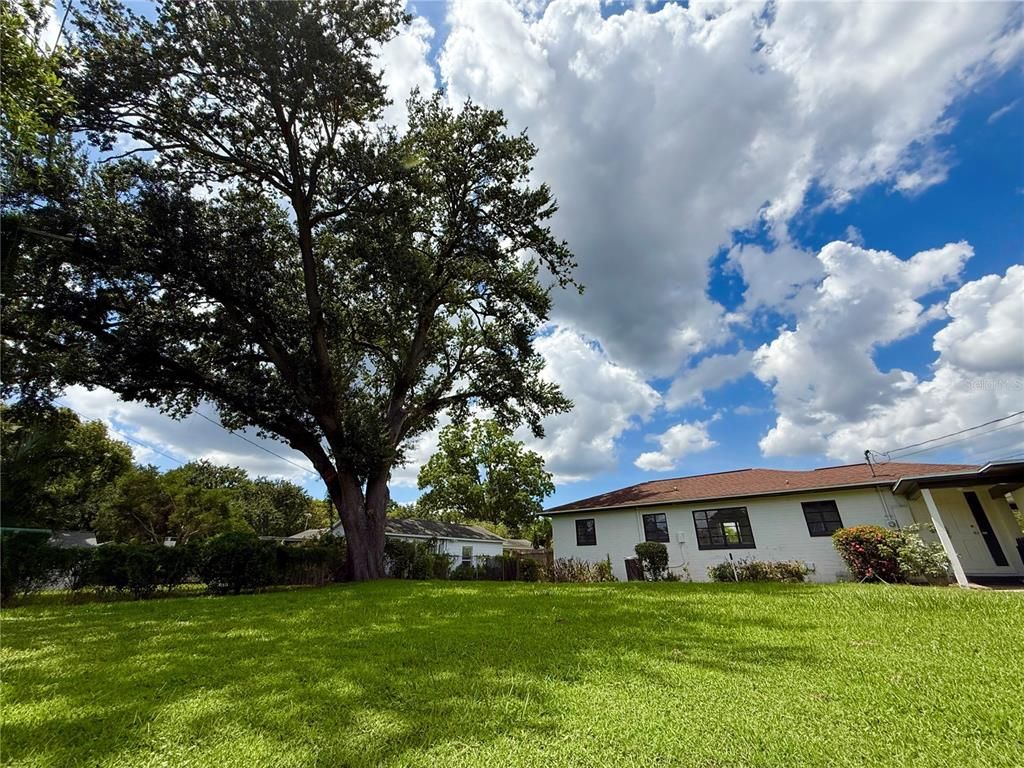 Backyard, Exterior