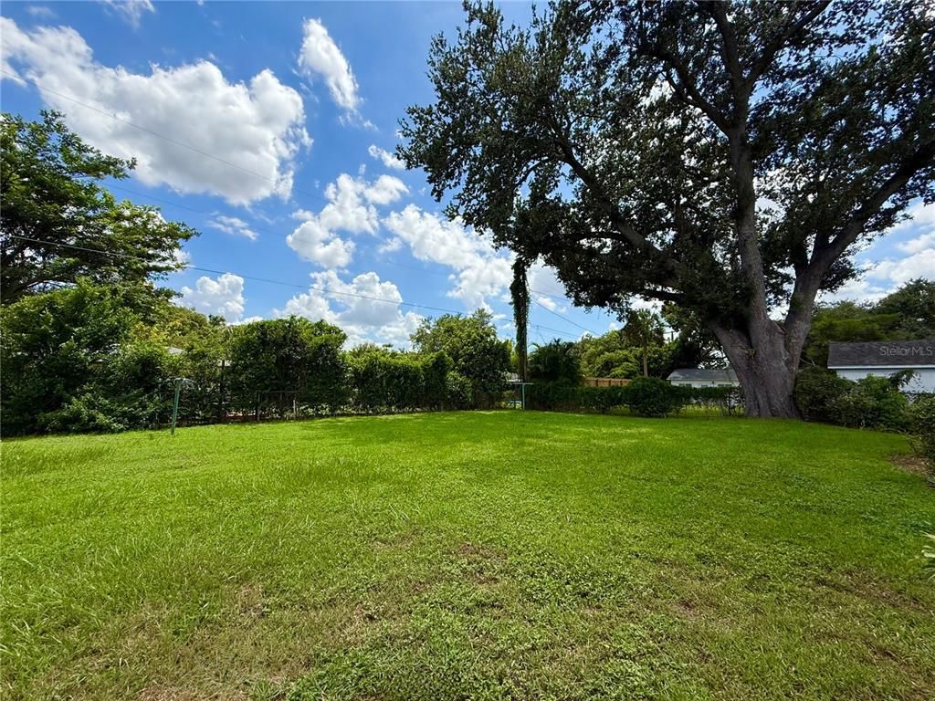 Backyard, Exterior