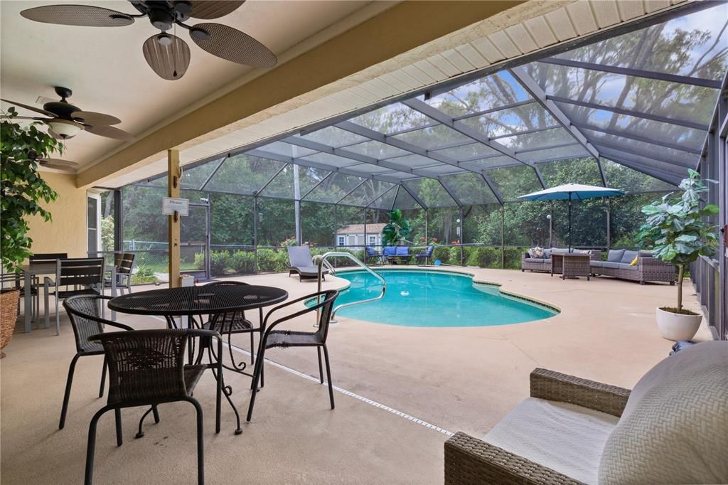 Glass Ceilings, Interior, Pool, Sun Room