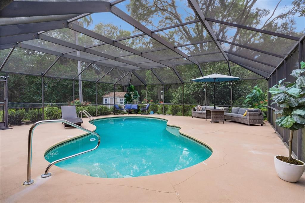 Glass Ceilings, Interior, Pool, Sun Room