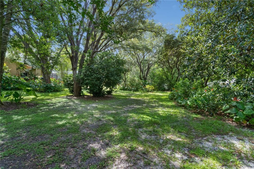 Backyard, Exterior