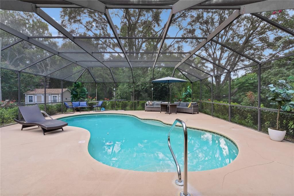 Glass Ceilings, Interior, Pool, Sun Room