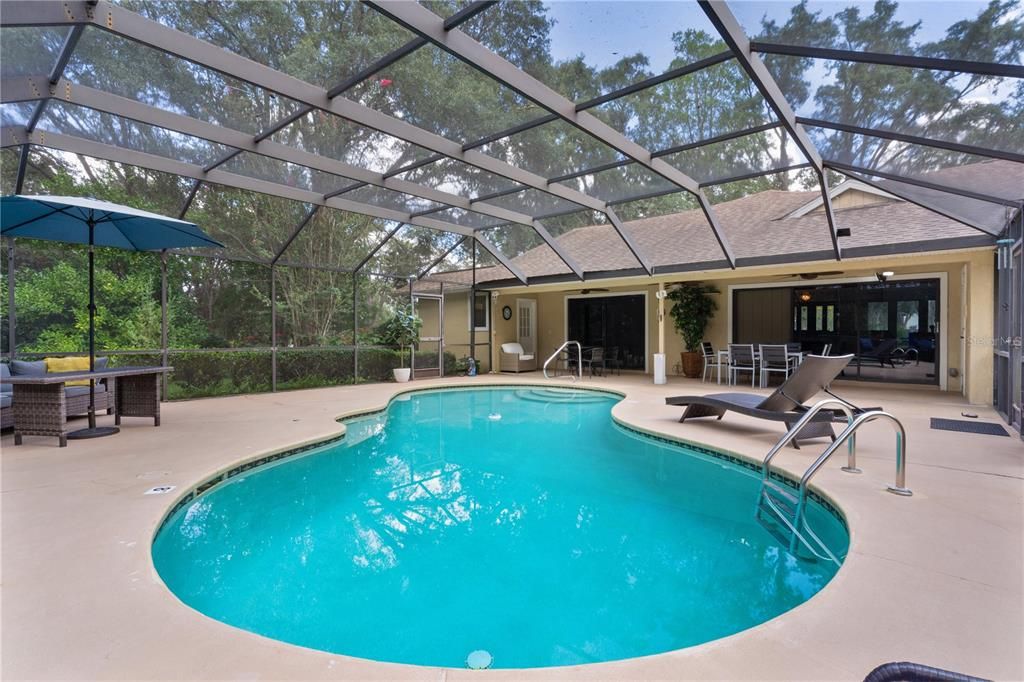 Glass Ceilings, Interior, Pool, Sun Room