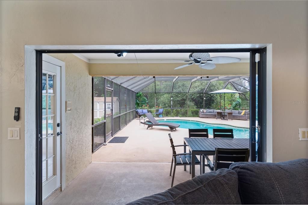 Glass Ceilings, Interior, Pool, Sun Room