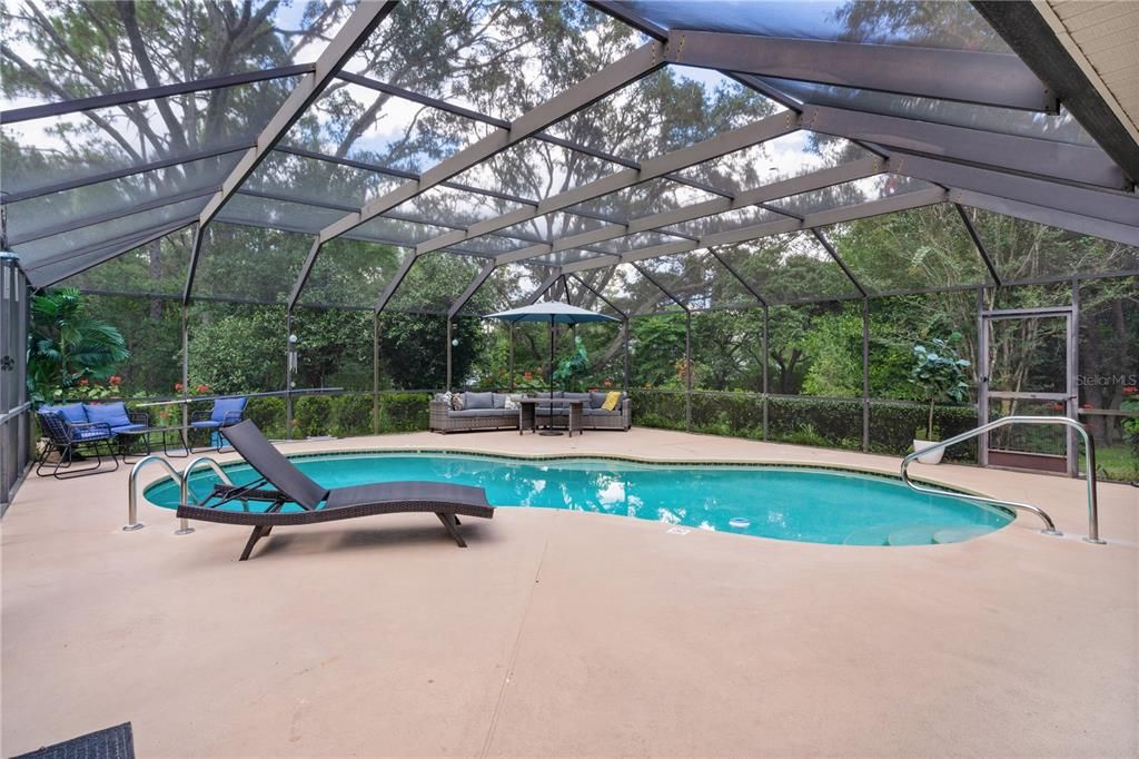 Glass Ceilings, Interior, Pool, Sun Room