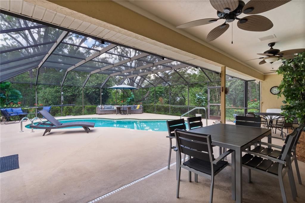 Glass Ceilings, Interior, Pool, Sun Room