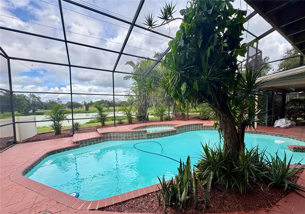 Glass Ceilings, Interior, Pool, Sun Room