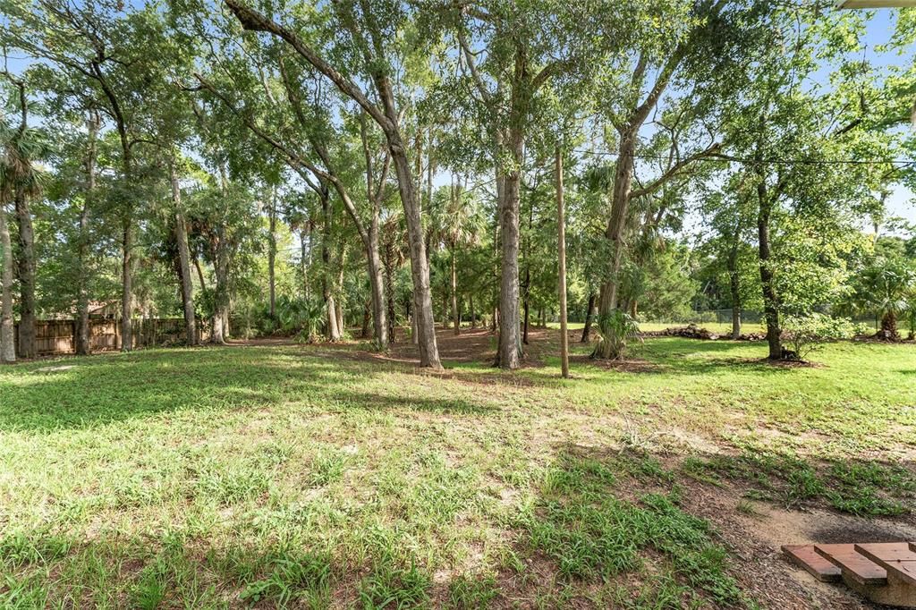 Backyard, Exterior