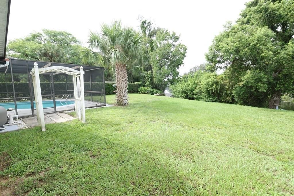 Backyard, Exterior, Pool