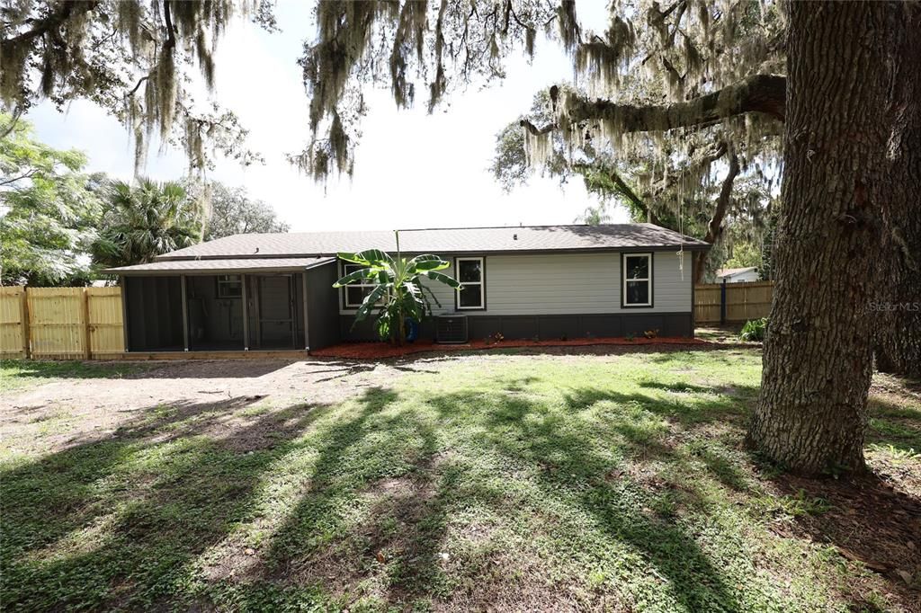Backyard, Exterior