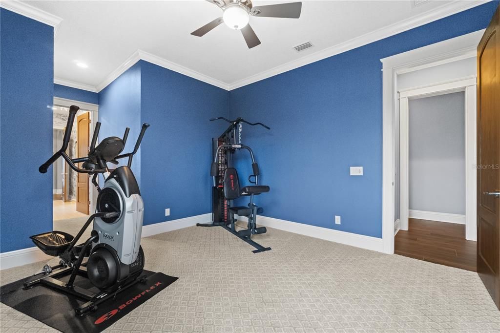 Fitness Equipment, Interior, Recessed Lighting, Wood Texture Flooring