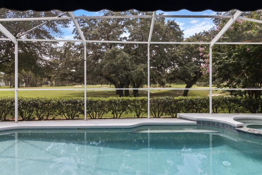 Glass Ceilings, Interior, Pool, Sun Room, Water